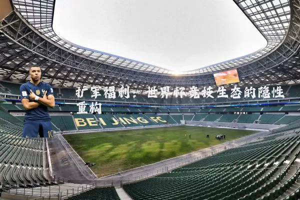 扩军福利：世界杯竞技生态的隐性重构